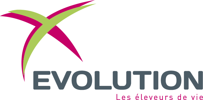 Logo Evolution XY